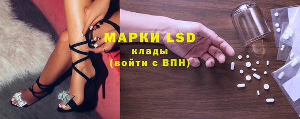прущие грибы Корсаков