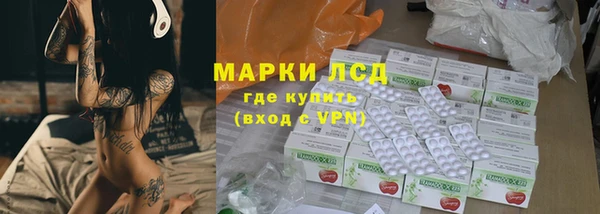 индика Пенза