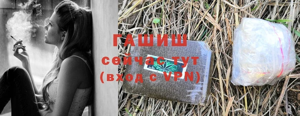 прущие грибы Корсаков