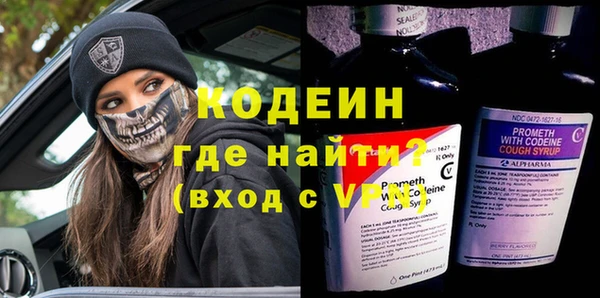 прущие грибы Корсаков