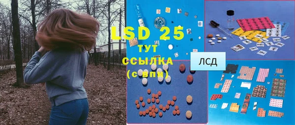 прущие грибы Корсаков