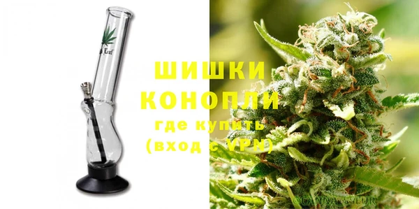 прущие грибы Корсаков