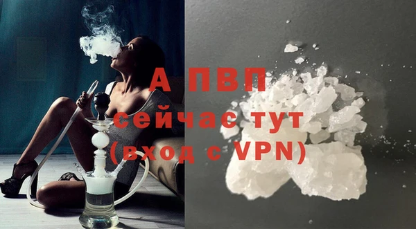 прущие грибы Корсаков