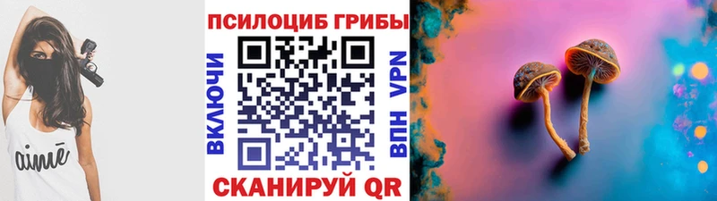 Псилоцибиновые грибы прущие грибы  Щучье 